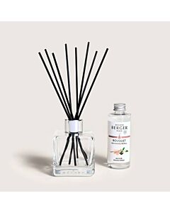 Maison Berger Golden Wheat Scented Bouquet